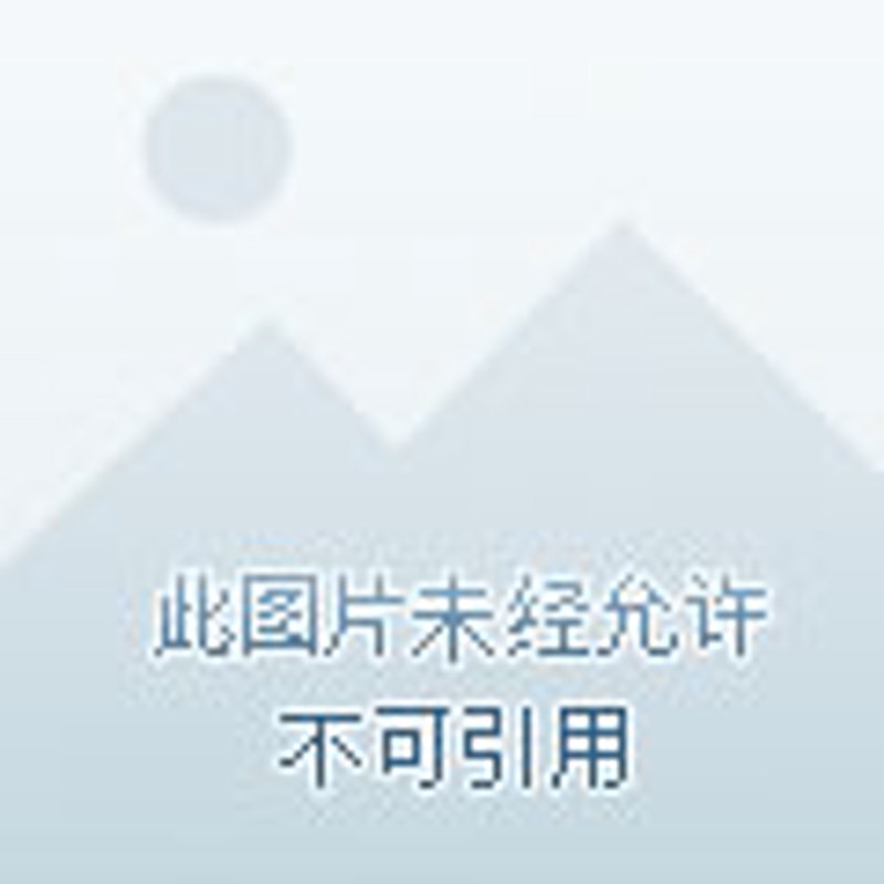 如何在求职中脱颖而出？——东安人才网案例解析